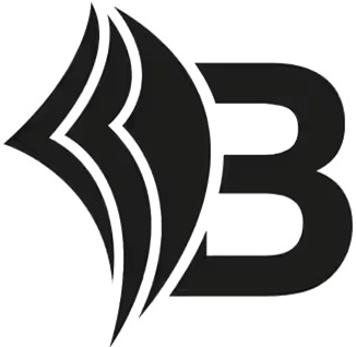 bizapedia